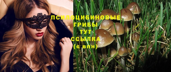 а пвп мука Медногорск