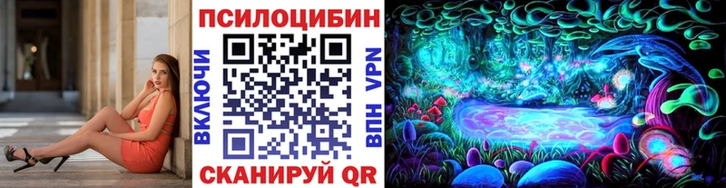 Псилоцибиновые грибы Cubensis  Менделеевск 